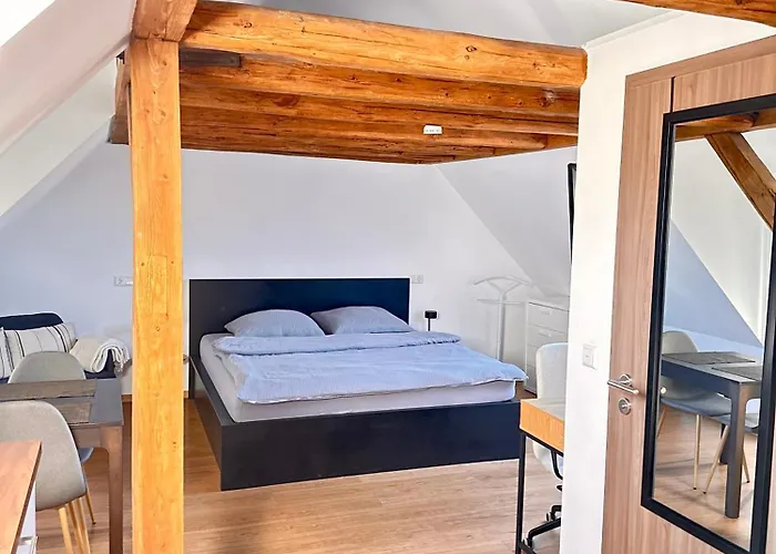 1 Dg Mit Klimaanlage Und Kleinen Balkon דירה Oedheim